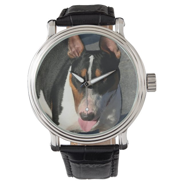Montre Chien de taureau (devant)