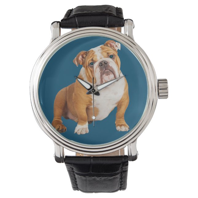 Montre Chien de taureau anglais (devant)