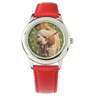 Montre Chien Goldendoodle