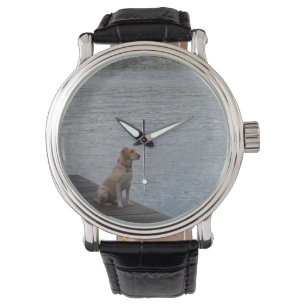 Montre Chien jaune sur quai