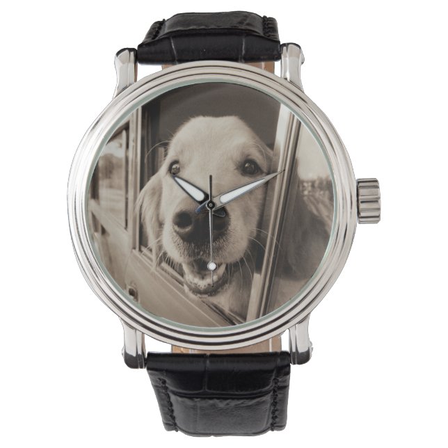 Montre Chien regardant dehors une fenêtre de voiture (devant)