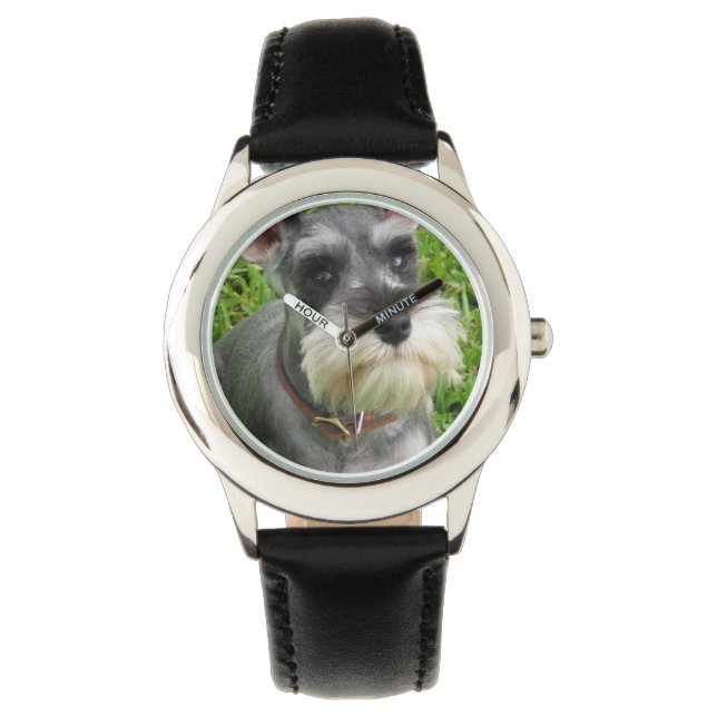 Montre Chien Schnauzer (devant)
