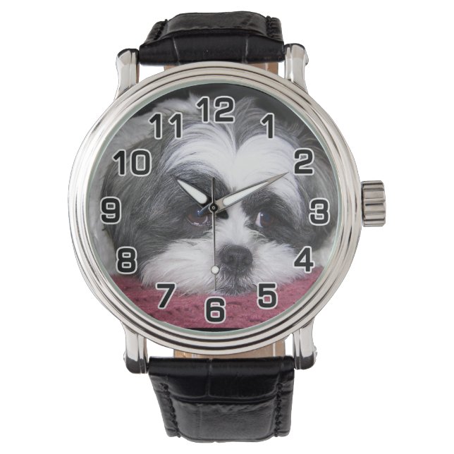 Montre Chien Shih Tzu (devant)