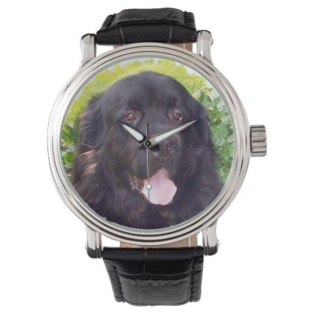 Montre Chien sport de Terre-Neuve (devant)