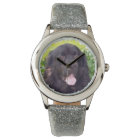 Chien sport de Terre-Neuve