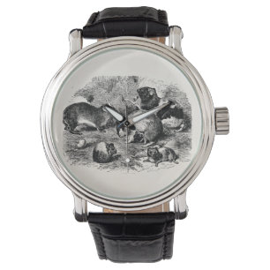 Montre Chiens de Guinée des années 1800 vintages Retro Vi