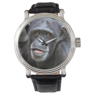 Montre Chimpanzé Photo