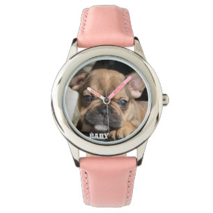 Montre chiot bouledogue français Bouledogue Français