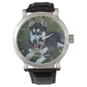 Montre Chiot de Sibérie Husky
