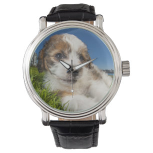 Montre Chiot mignon (Shitzu)