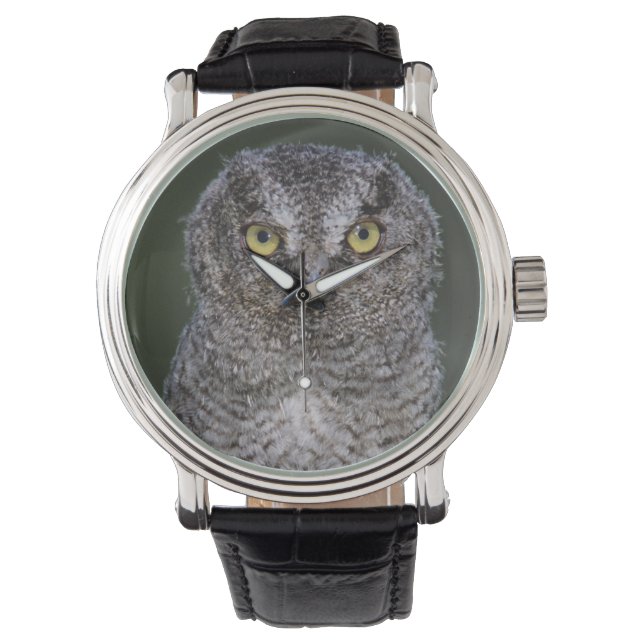 Montre Chouette à cris de l'Est, Megascops asio, Otus 2 (devant)