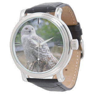 Montre Chouette à neige