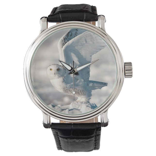 Montre Chouette des neiges décolle de la neige (devant)