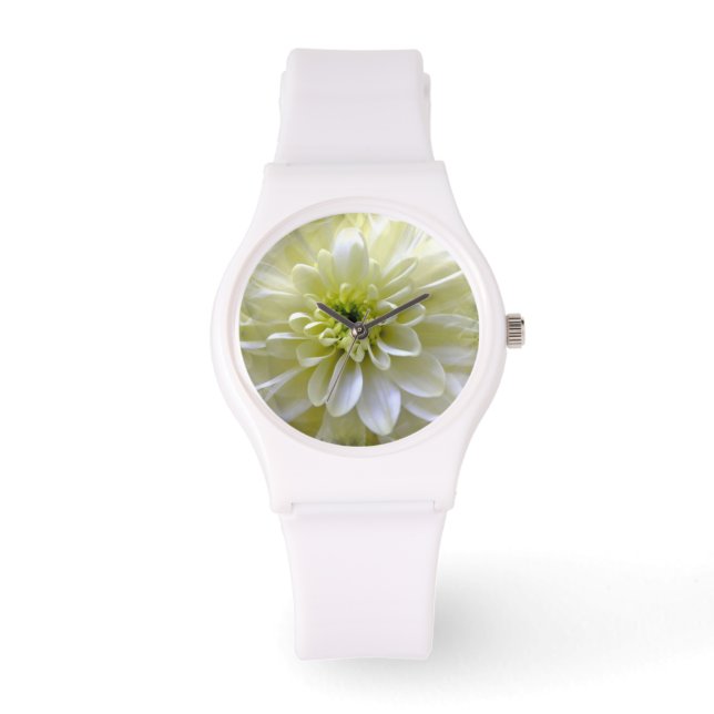 MONTRE CHRYSANTHEMUM (Recto)