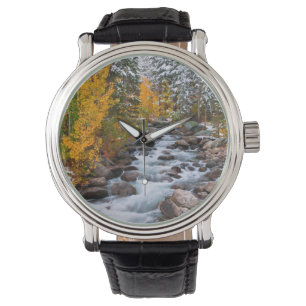 Montre Chute le long du ruisseau Bishop, Californie