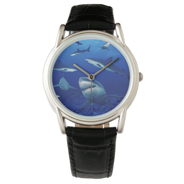 Montre Classique Hommes/Requins (devant)