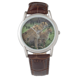 Montre classique pour hommes / Guépard faune