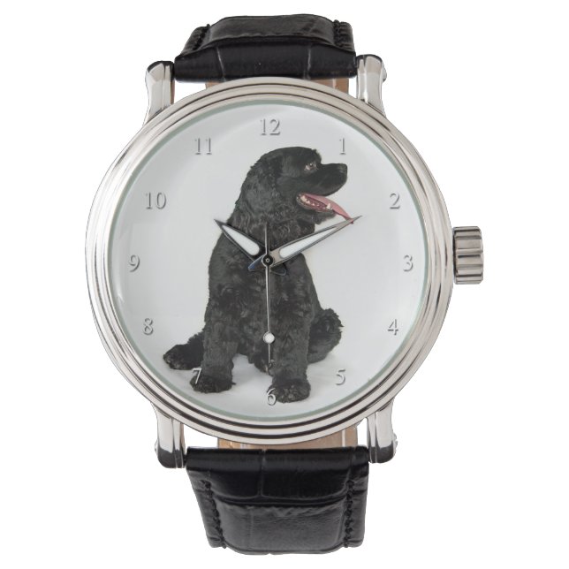 Montre Cocker Spaniel Watch (devant)