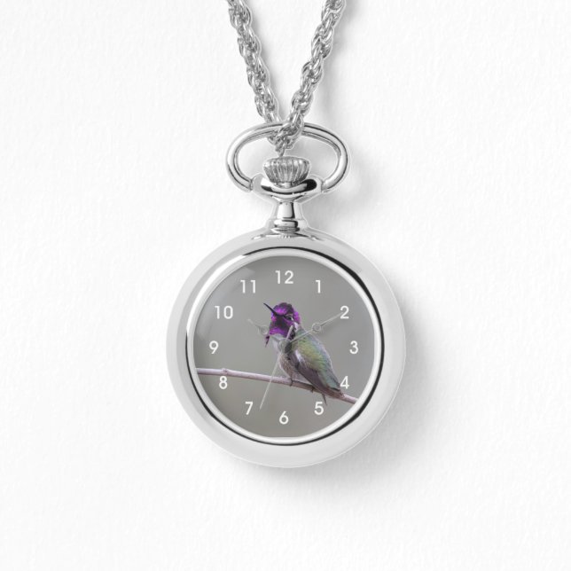 Montre Colibri de Costa (Recto)