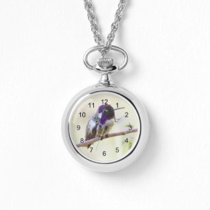 Montre Colibri de Costa perché sur une branche