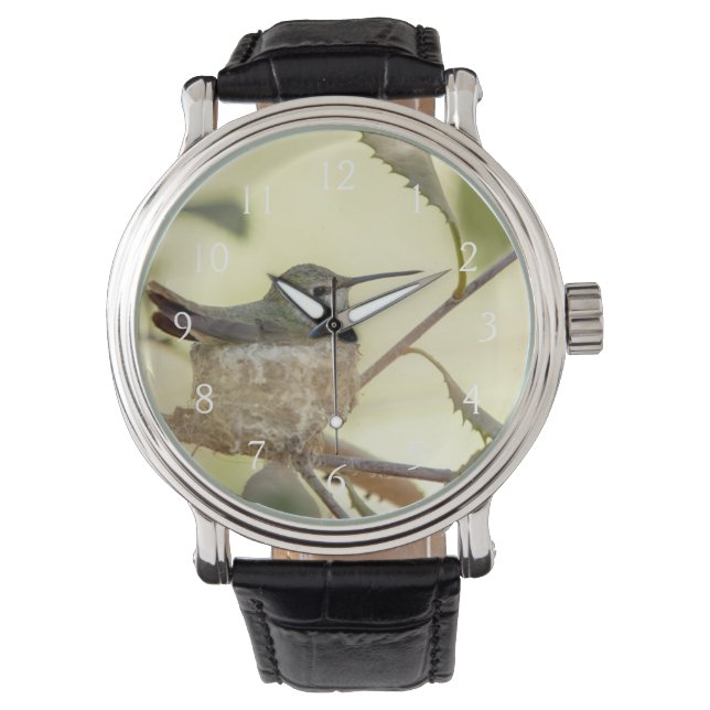Montre Colibri sur son nid (devant)