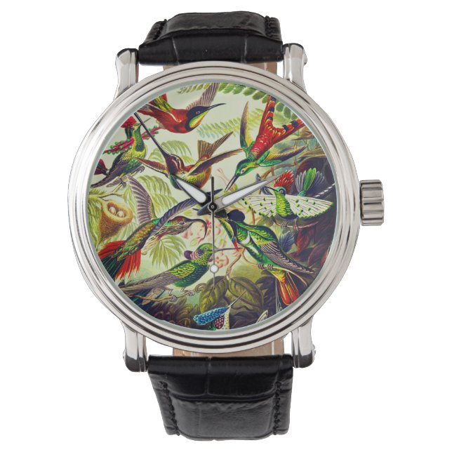 Montre Colibri vintage par Ernst Haeckel (devant)