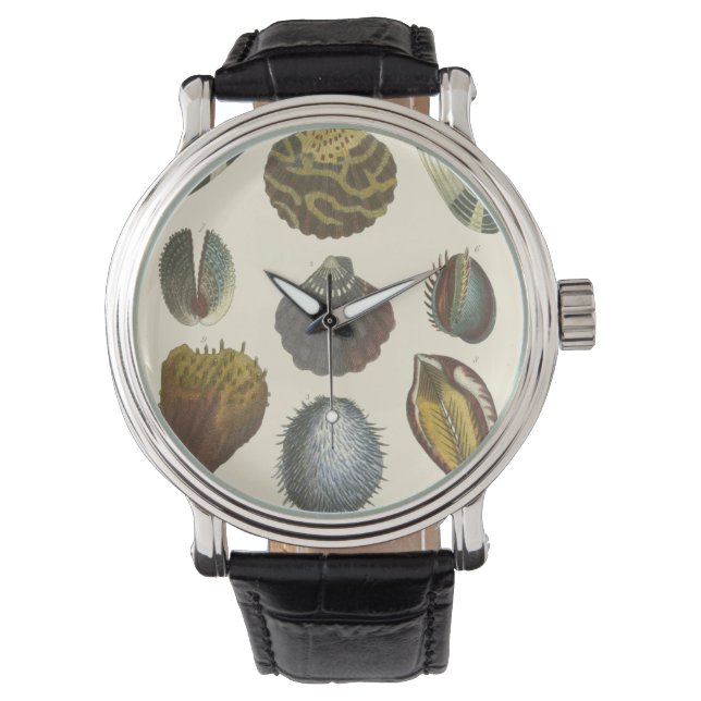 Montre Collection Conchology (devant)