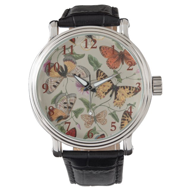 Montre Collection de la papillon Moth Nature Dessin (devant)