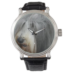 Montre Colley barbu hirsute