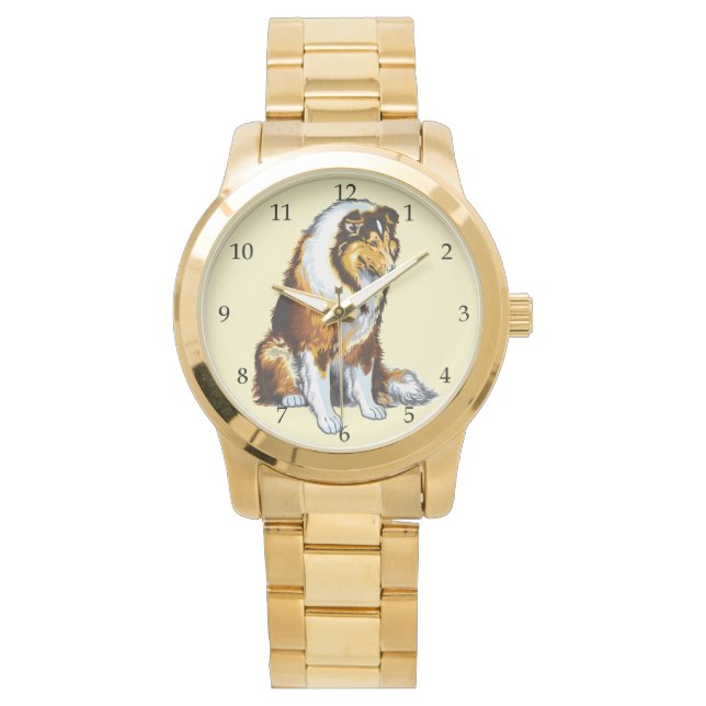 Montre collie (devant)