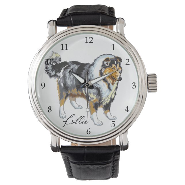 Montre collie (devant)