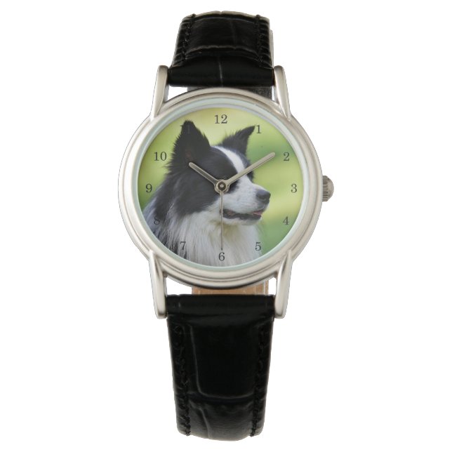 Montre Collie Chien noir et blanc (devant)
