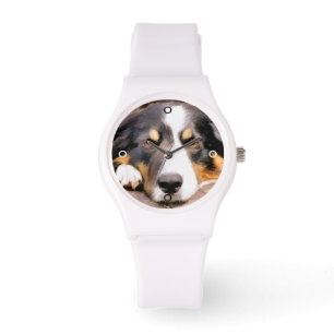 MONTRE COLLIE FRONTALIÈRE