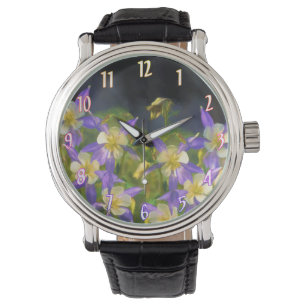 Montre Colorado Blue Columbine Peinture - Art original