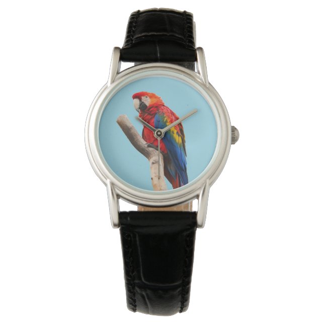 Montre Colorful Parrot Portrait (devant)