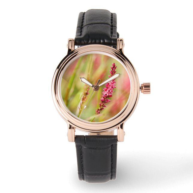 Montre coloris (Recto)