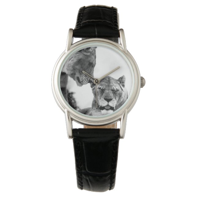 Montre Contraste Lions femelles noirs et blancs (devant)