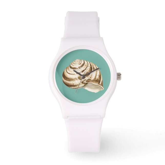 Montre Coquille striée Sepia sur Turquoise (Recto)