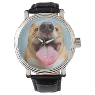 Montre Corgi très heureux des images   de Getty
