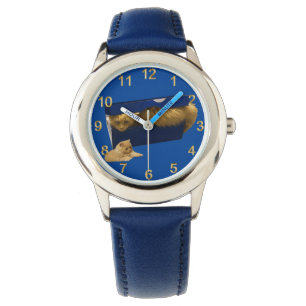 Montre "Cosy Hideaway : The Ginger Cat in the Shoe Box"