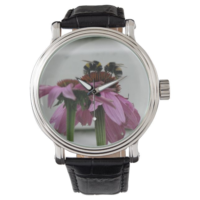 Montre couple de bourdons sur coneflower (devant)