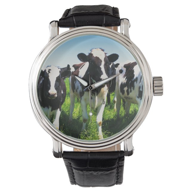 Montre Cows in the field, Betsukai town, Hokkaido (devant)