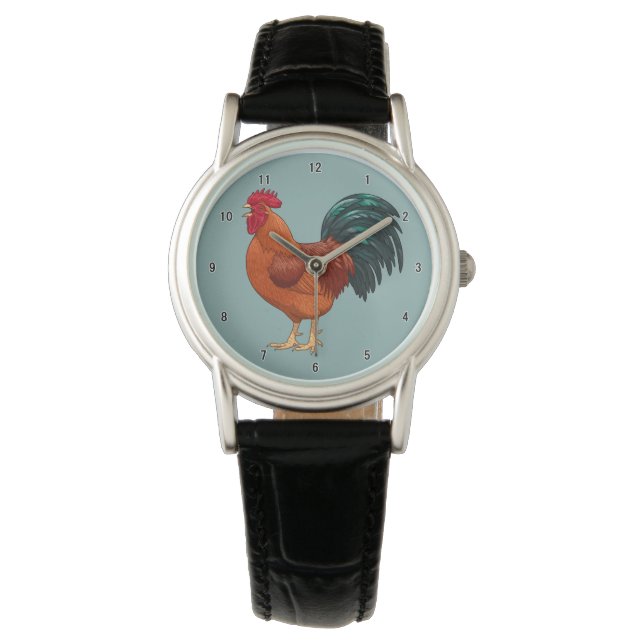 Montre Croisement de coq rouge de l'île Rhode (devant)