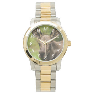 Montre Curieux orignal