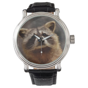 Montre Curieux Raccoon