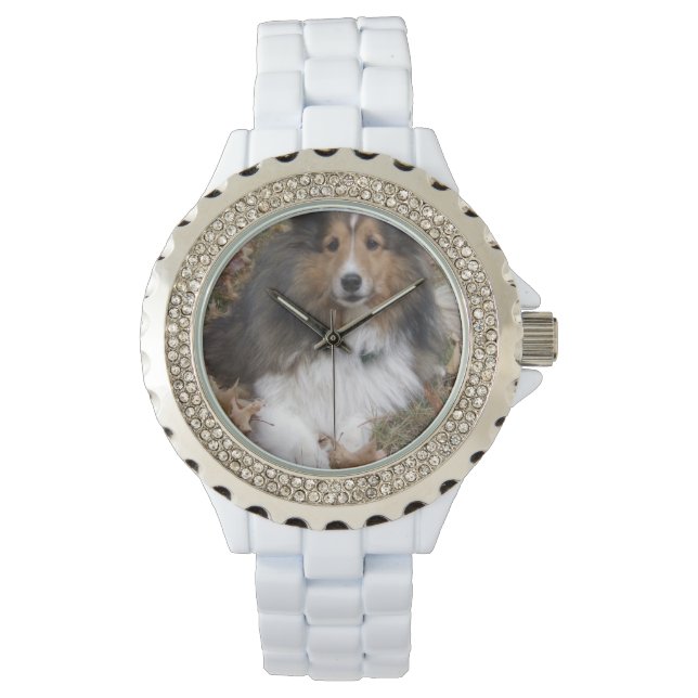 Montre Cute Collie (devant)