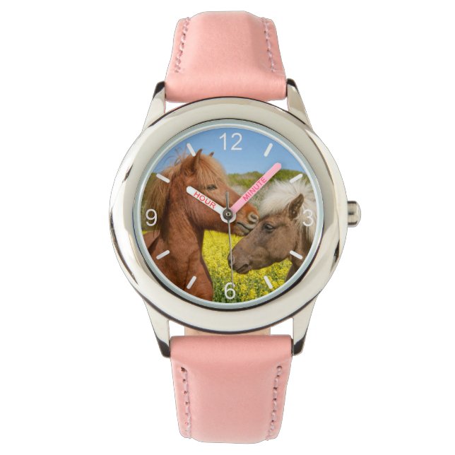 Montre Cute islandaise Horses Cuddle dans une prairie pri (devant)