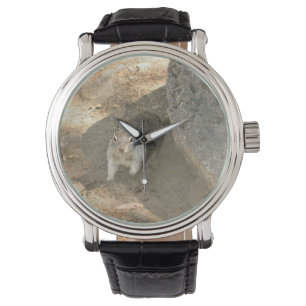 Montre Cute Squirrel en Yosemite, Californie