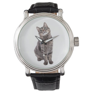 Montre Cute tabby Chat