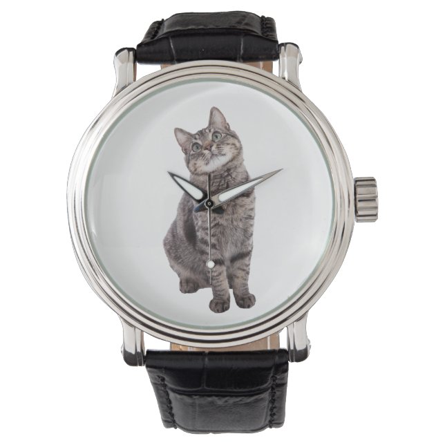 Montre Cute tabby Chat (devant)